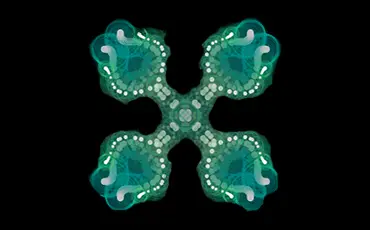 Formateur Développeur web Emmanuel Orchanian